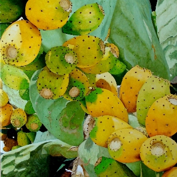 Chumbos 3